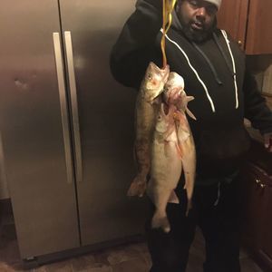 Meet your Posher, Derek